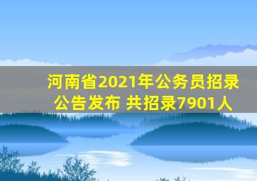 河南省2021年公务员招录公告发布 共招录7901人